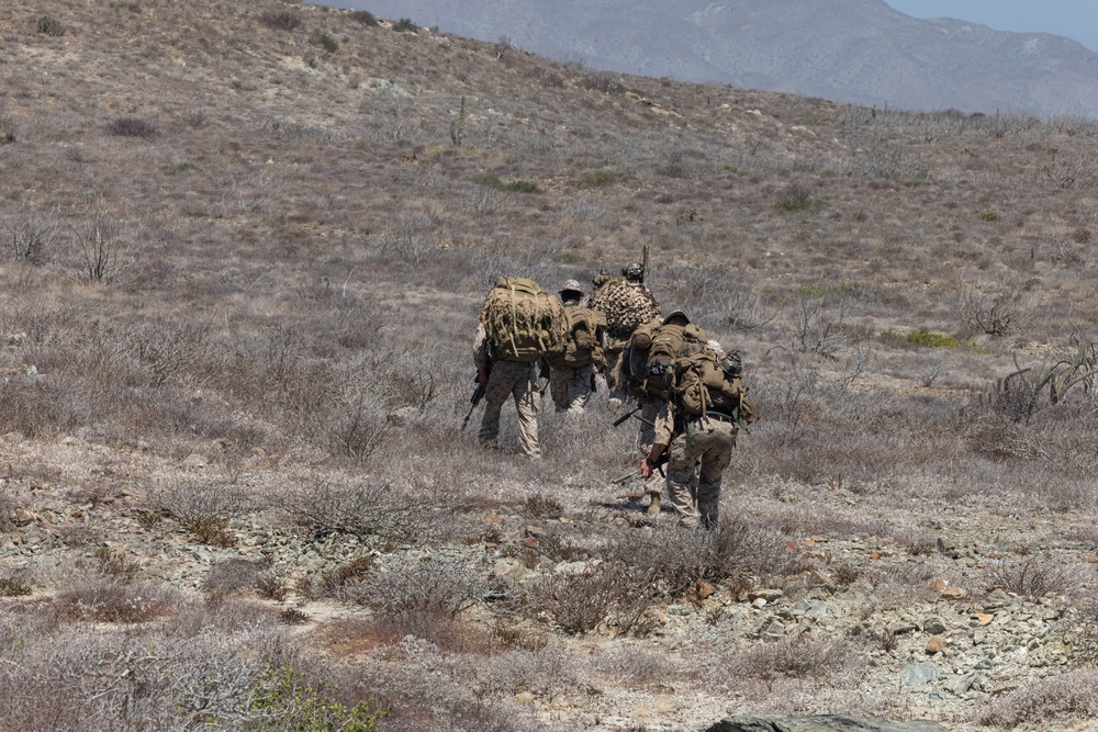 U.S. Marines, helo insert during exercise Phoenix/Aztec Alligator 2023