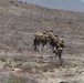 U.S. Marines, helo insert during exercise Phoenix/Aztec Alligator 2023