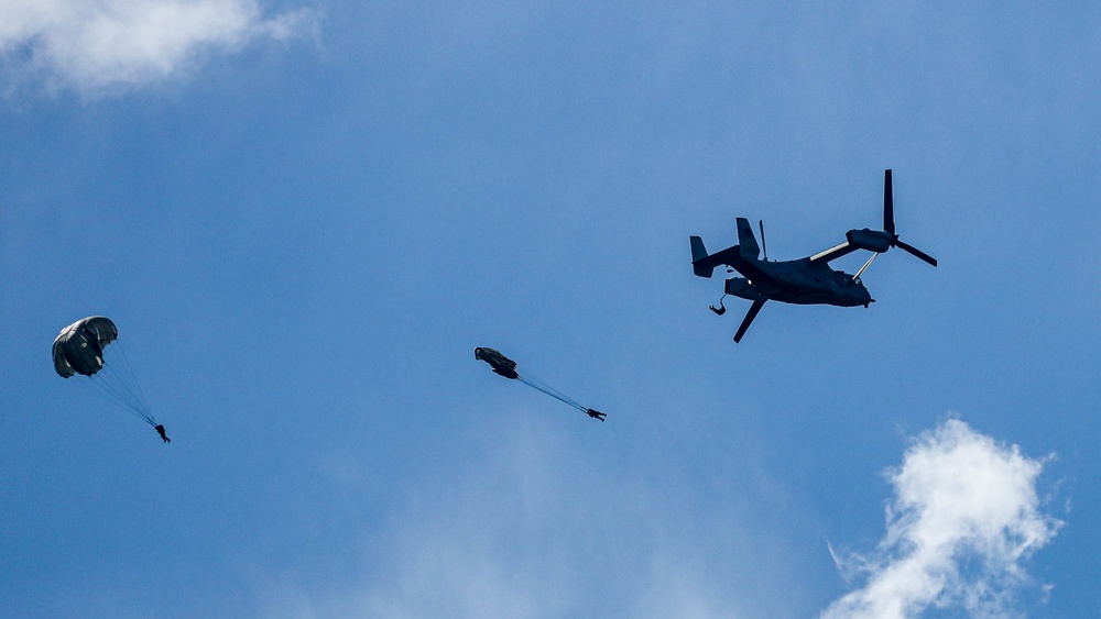 DVIDS - Images - 2nd Air Delivery Platoon and 2nd Reconnaissance ...