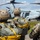 2nd Air Delivery Platoon and 2nd Reconnaissance Battalion Conducts a Static-Line Jump 2nd Air Delivery Platoon and 2nd Reconnaissance Battalion Conducts a Static-Line Jump