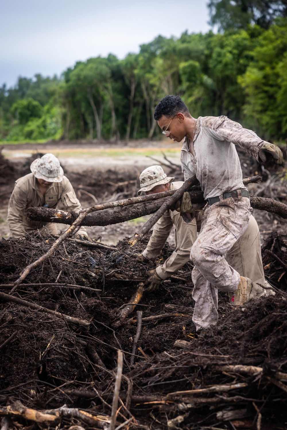 Timber! Tree clearing during Peleliu runway project