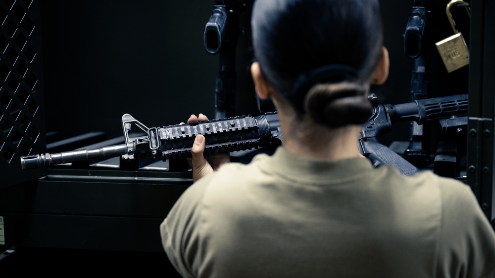 ELRS Weapons Check