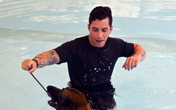 66SFS MWD aquatic aggression training held