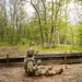 Grenade training at Northern Strike