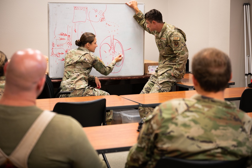 Military Working Dog handlers conduct canine first aid training