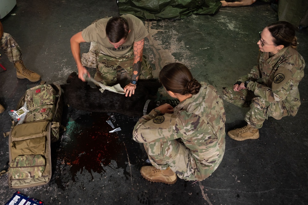 Military Working Dog handlers conduct canine first aid training