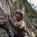 Vermont National Guard's 3-172 Infantry Train in the Green Mountains