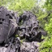 Vermont National Guard's 3-172 Infantry Train in the Green Mountains