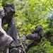 Vermont National Guard's 3-172 Infantry Train in the Green Mountains