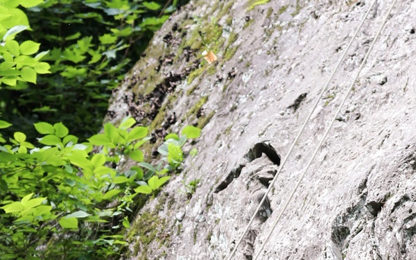 Vermont National Guard's 3-172 Infantry Train in the Green Mountains
