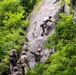 Vermont National Guard's 3-172 Infantry Train in the Green Mountains