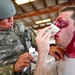 Joint Force Tactical Combat Casualty Care