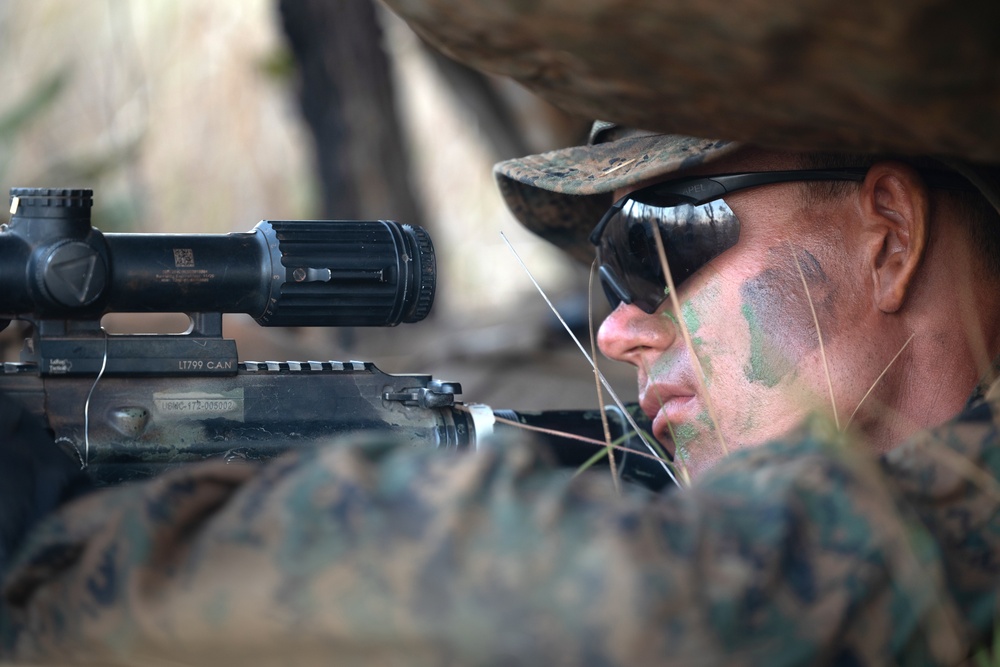 Blue Diamond Marines Train Alongside Brazilian Marines During Exercise Formosa