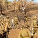 1AD and Australian Army's 3rd Brigade conduct combine arms live fire exercise