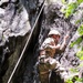 Vermont National Guard's 3-172 Infantry Train in the Green Mountains