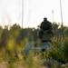 101st Airborne Division Air Assault Conducts Artillery Raid during OLE III