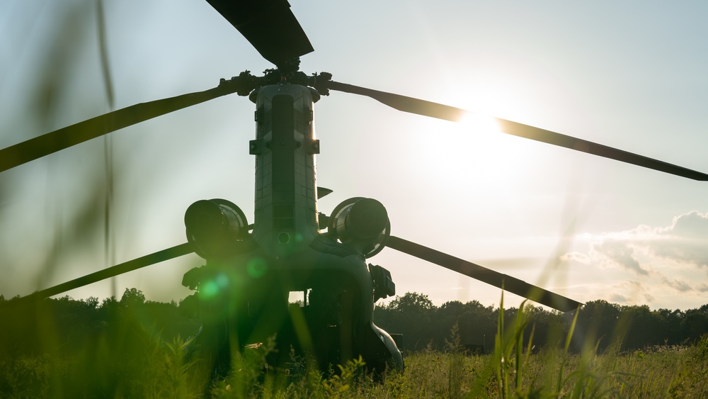 101st Airborne Division Air Assault Conducts Artillery Raid during OLE III