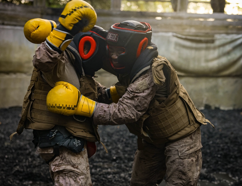 Delta Company Crucible