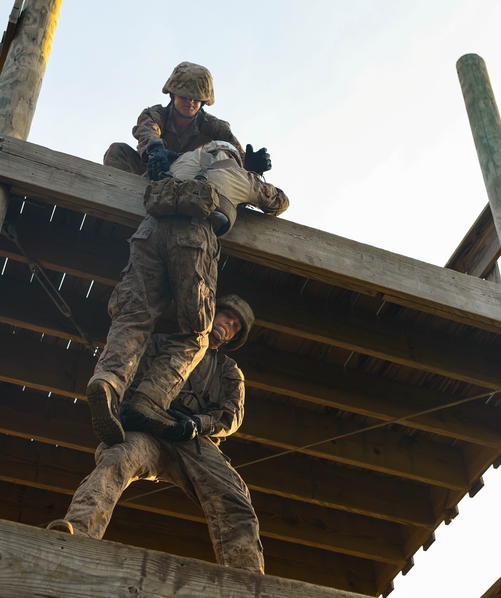Delta Company Crucible