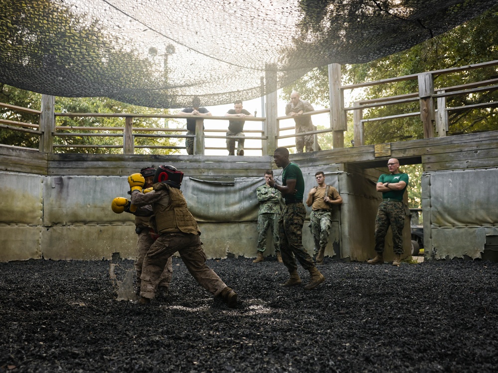Delta Company Crucible