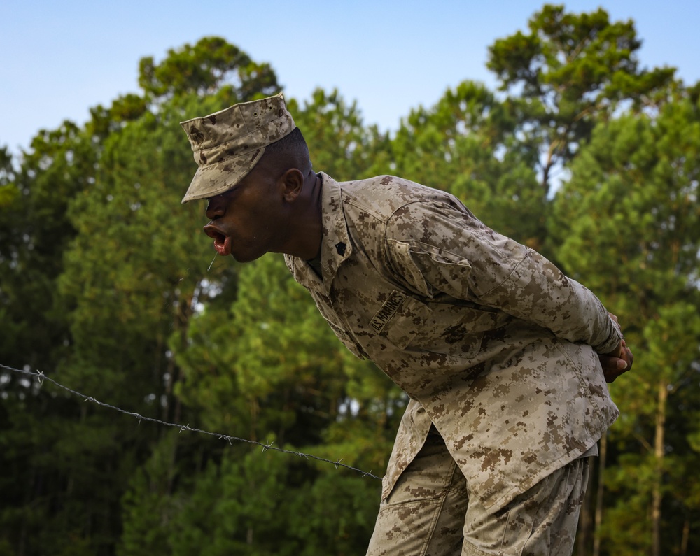 Delta Company Crucible