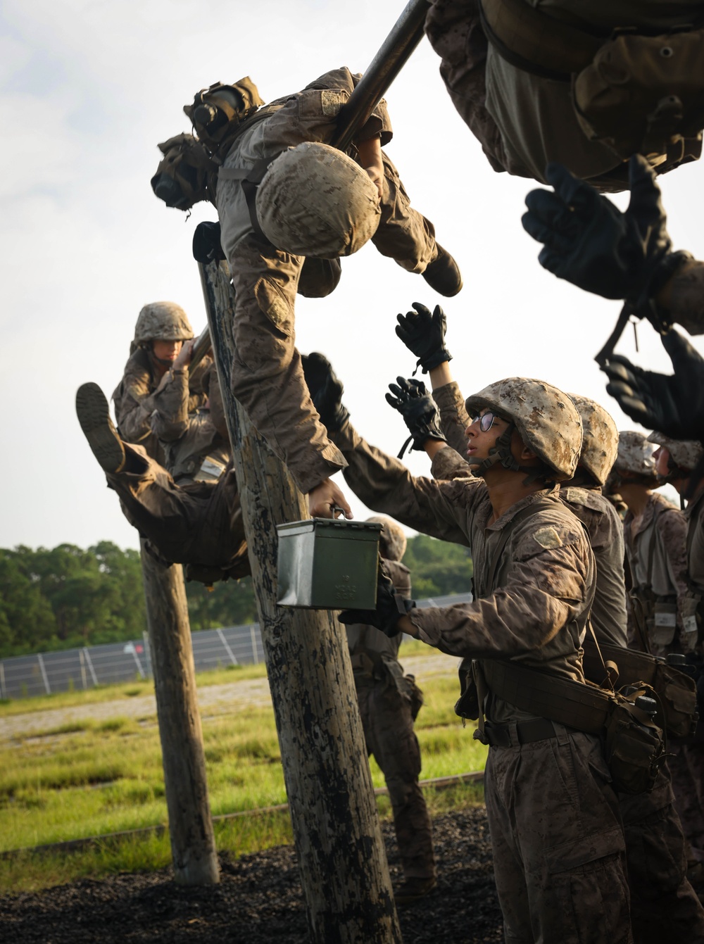 Delta Company Crucible