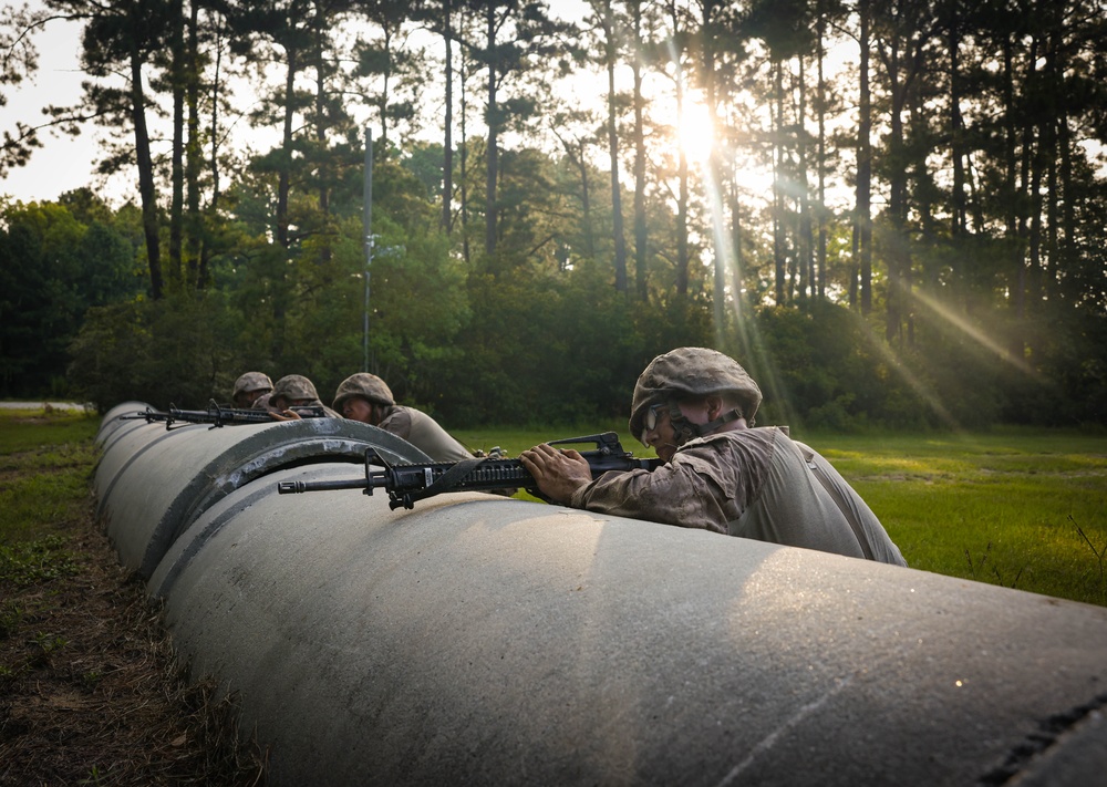 Delta Company Crucible