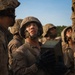 Delta Company Crucible