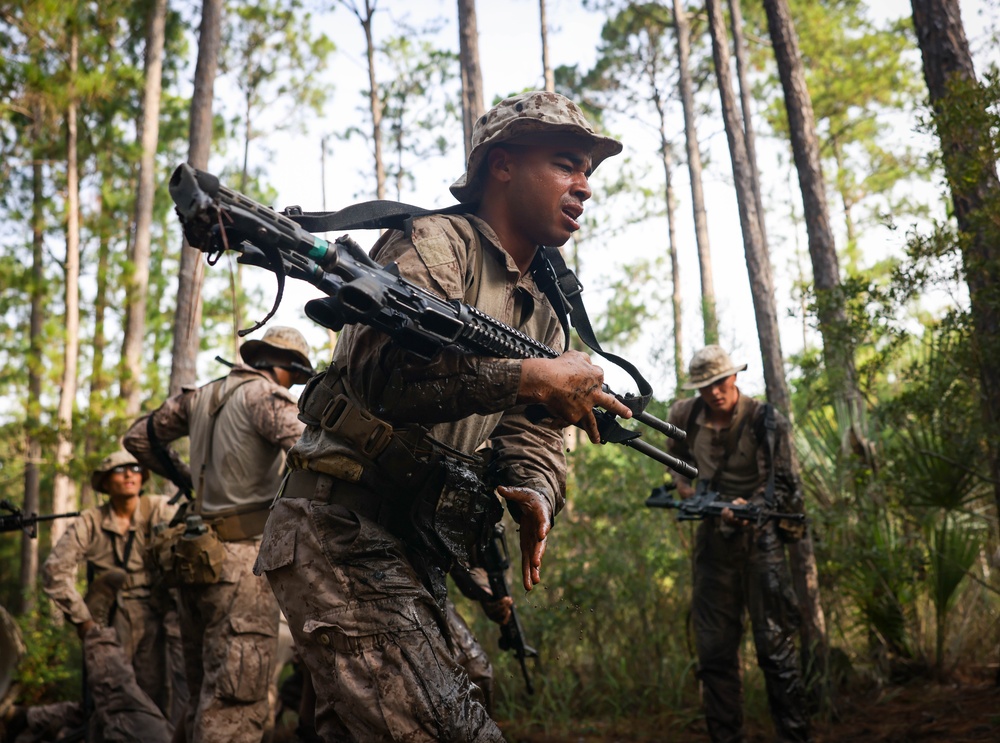 Delta Company Crucible