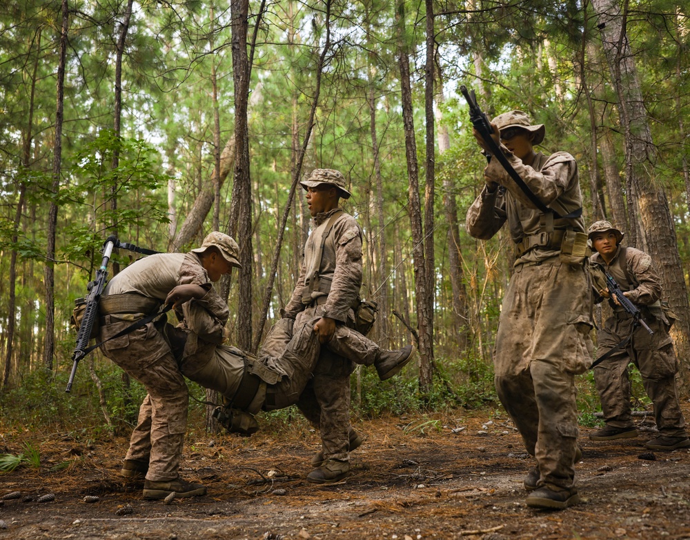 Delta Company Crucible