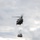 Operation Lethal Eagle III Sustainment Sling Load De-rigging