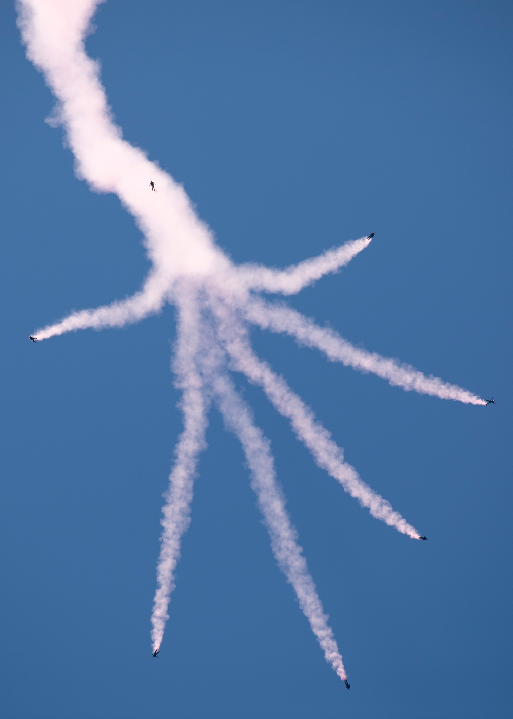 U.S. Army Golden Knights at Seafair 2023