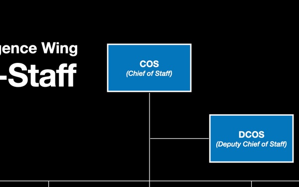 102nd IW establishes an A-Staff