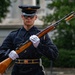 Sentinel Walks the Mat at Tomb of the Unknown Soldier