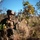 Blue Diamond Marines Train in Brazil during Exercise Formosa
