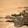 Blue Diamond Marines Train in Brazil during Exercise Formosa