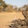 Blue Diamond Marines Train in Brazil during Exercise Formosa