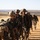 Blue Diamond Marines Train in Brazil during Exercise Formosa