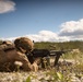 26th MEU(SOC) and San Marco Brigade: Dynamic Integration in Live Fire Training