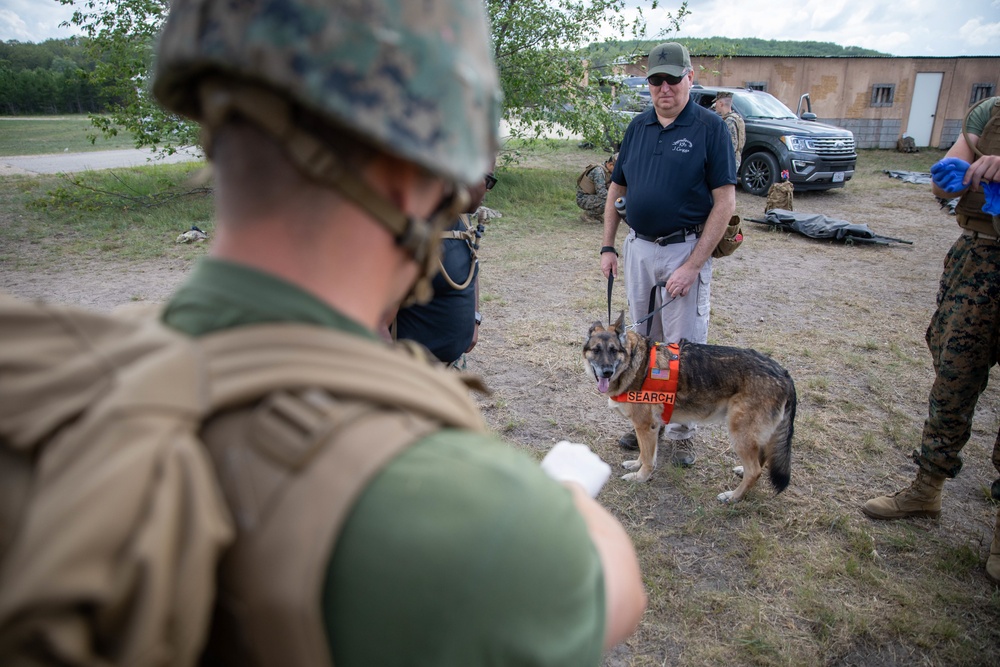 Marines Train with Canines