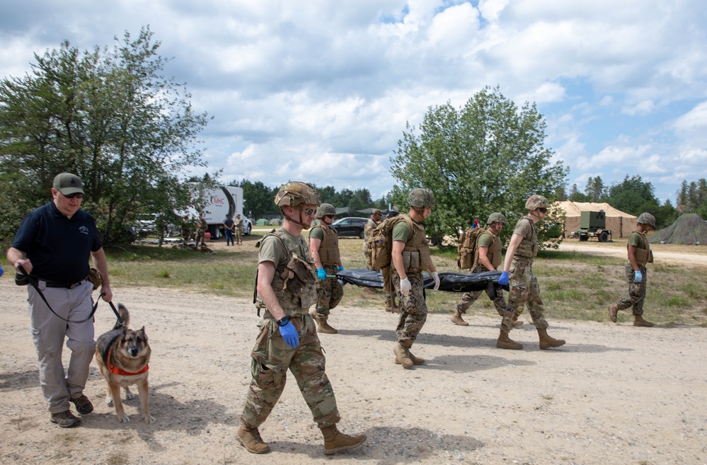 Marines Train with Canines