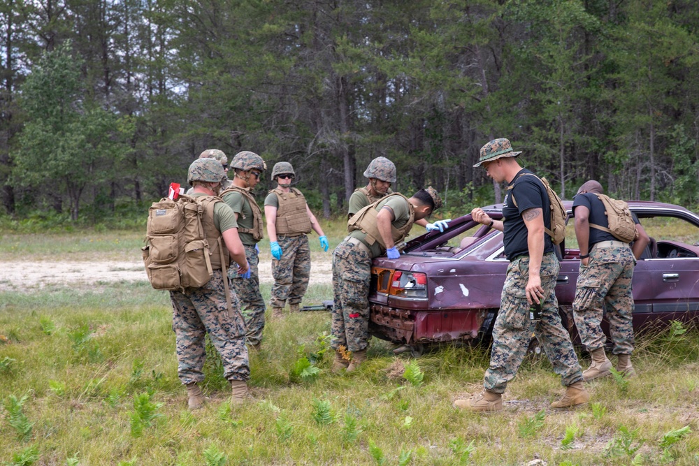 Marines Train with Canines