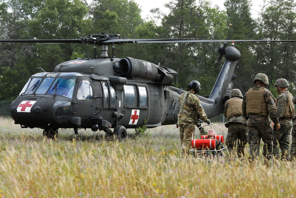 Personnel Retrieval and Processing Company, Combat Logistics Battalion 45, Conduct Joint Training During Northern Strike 2023