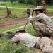 1-187 Conducts Platoon Live Fire