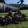 U.S. Army Forces Command Best Squad Competition 2023 Training Day 3