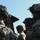 U.S. Army Forces Command Best Squad Competition 2023 Training Day 3 U.S. Army Forces Command Best Squad Competition 2023 Training Day 3