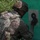 U.S. Army Forces Command Best Squad Competition 2023 Training Day 3 U.S. Army Forces Command Best Squad Competition 2023 Training Day 3