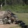 U.S. Army Forces Command Best Squad Competition 2023 Training Day 3 U.S. Army Forces Command Best Squad Competition 2023 Training Day 3