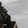 U.S. Army Forces Command Best Squad Competition 2023 Training Day 3 U.S. Army Forces Command Best Squad Competition 2023 Training Day 3