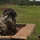 U.S. Army Forces Command Best Squad Competition 2023 Training Day 3 U.S. Army Forces Command Best Squad Competition 2023 Training Day 3